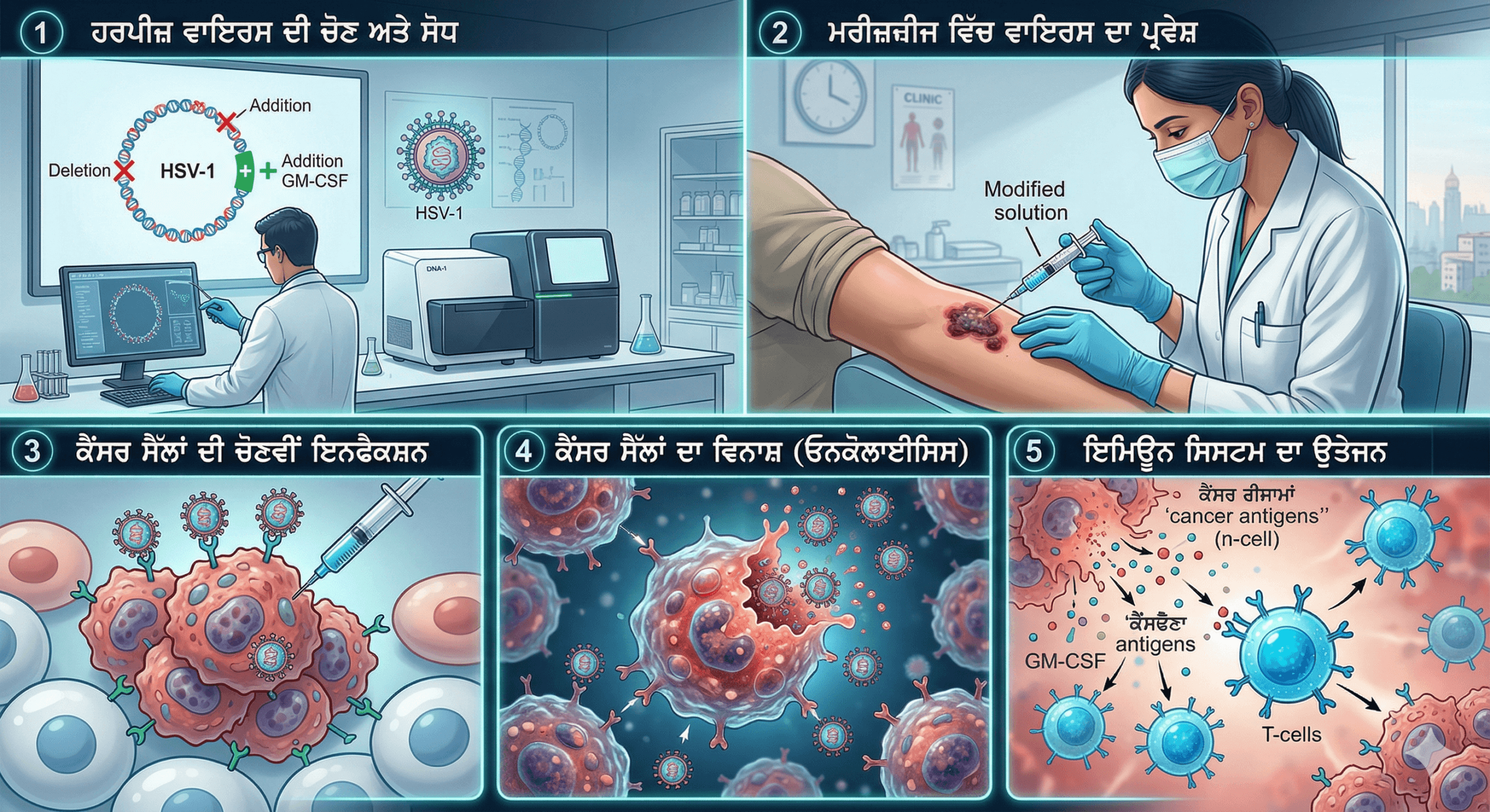 ਕੈਂਸਰ ਦੇ ਇਲਾਜ ਵਿੱਚ ਹਰਪੀਜ਼ ਵਾਇਰਸ ਦੀ ਵਰਤੋਂ ਦੀ ਪ੍ਰਕਿਰਿਆ।